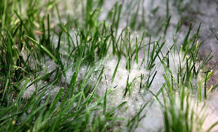 冬季將至，如何除去人造草皮中的冰雪？鉆石地為您支招